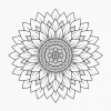Kailee Jane Doula logo